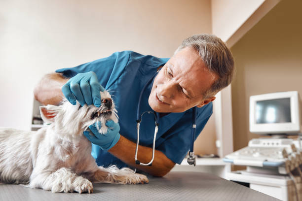 Best Emergency Root Canal Treatment in Cleary, MS